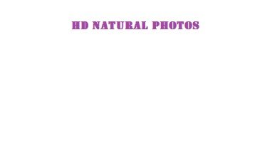 HD Natural Photos HD Photos